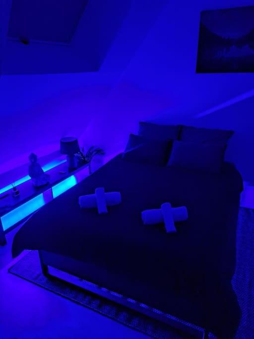 Confortable Studio Renove Cambrai Extérieur photo