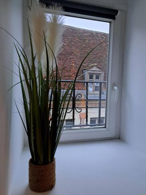 Confortable Studio Renove Cambrai Extérieur photo